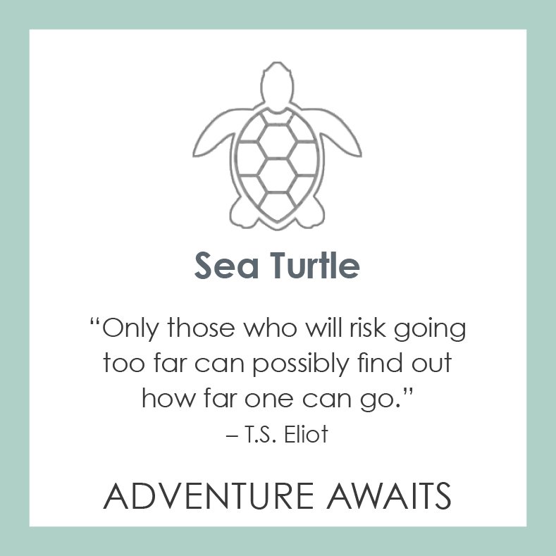 Lola Jewelry Sea Turtle Pendant Periwinkle