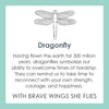 Lola Jewelry Dragonfly Pendant  Message Card